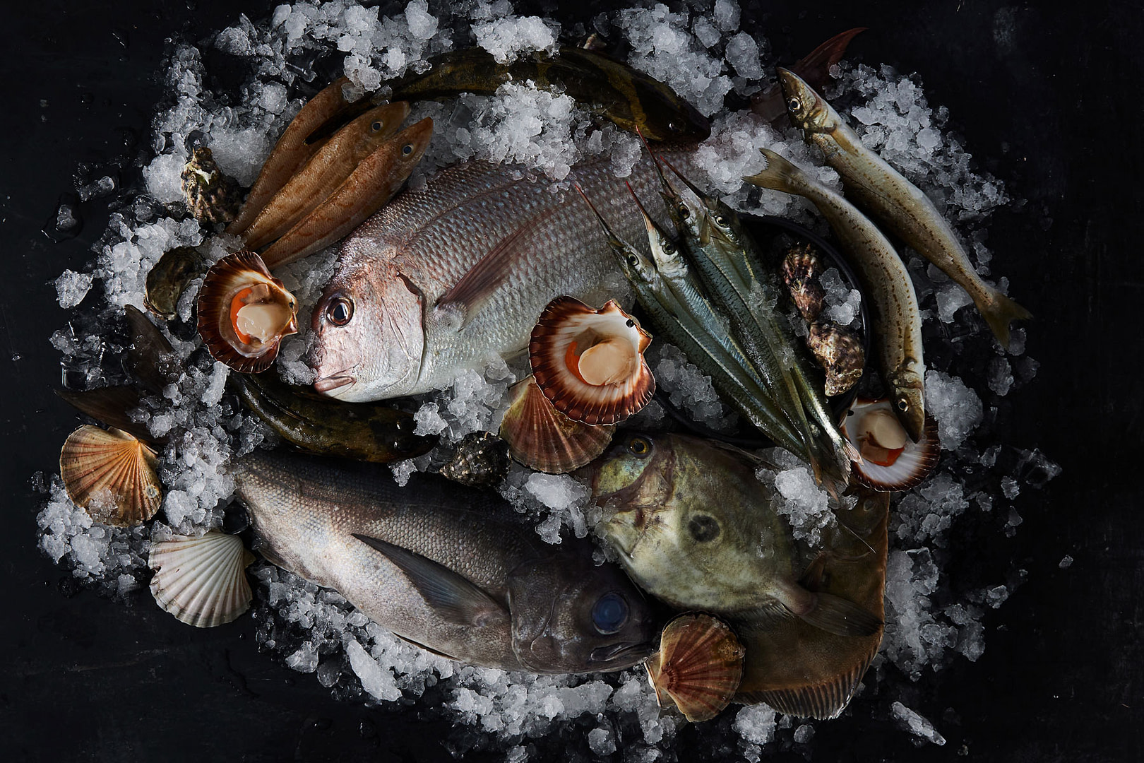 Food Photographer Melbourne