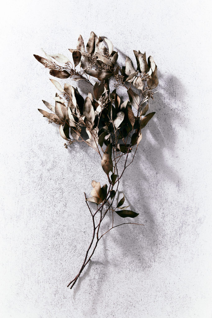 autumn still life series
