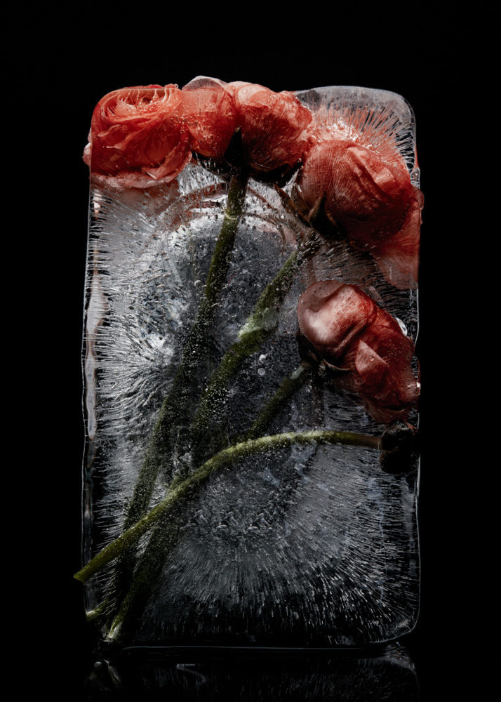 Still Life Photographer Melbourne