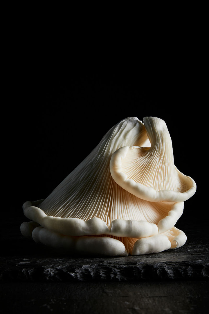 product photographer melbourne