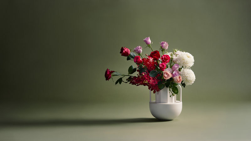 Website and Branding Photographer Melbourne
