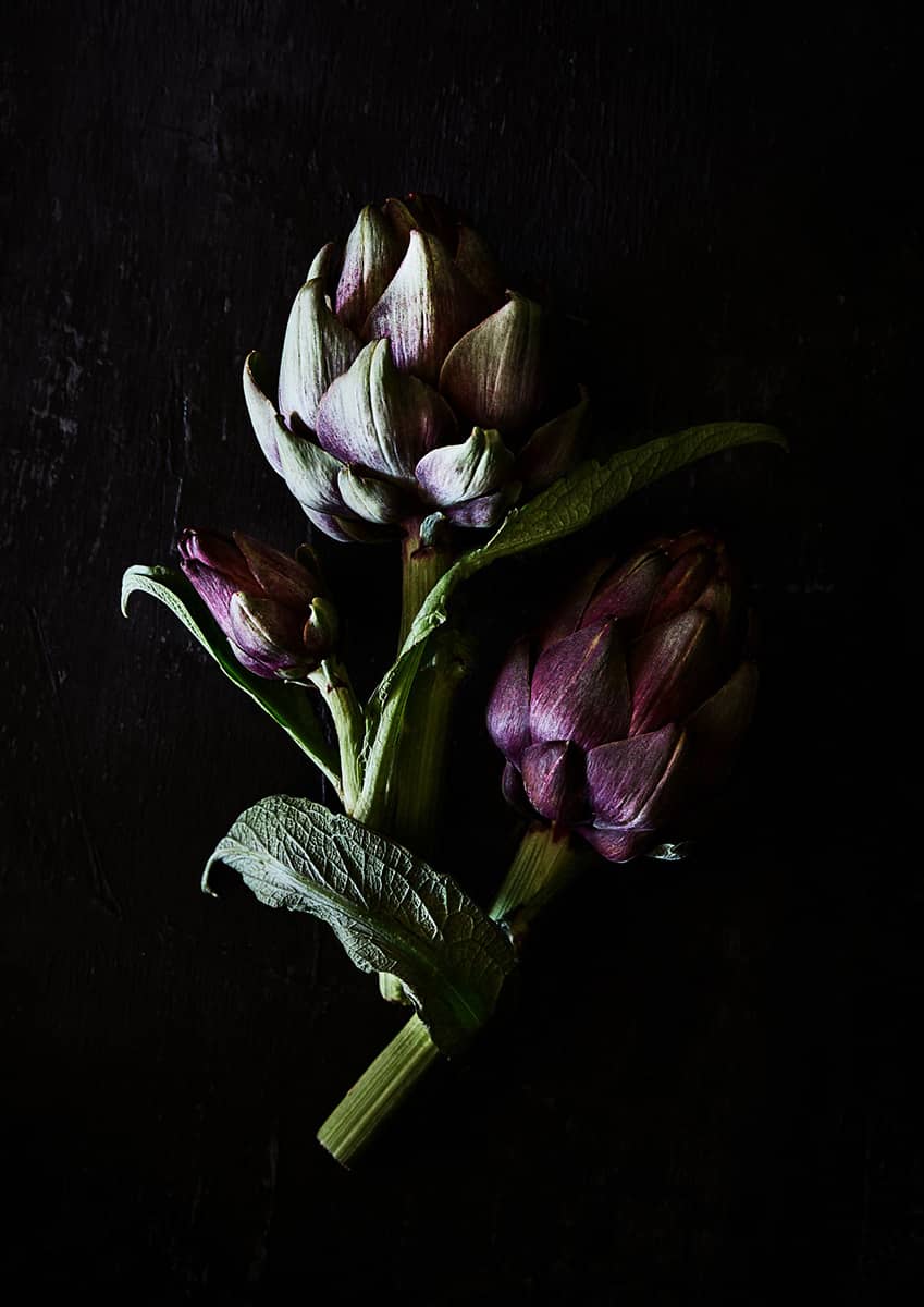 Lifestyle Product Photographer Melbourne